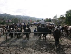 Besiciye fiyat cezası mı?